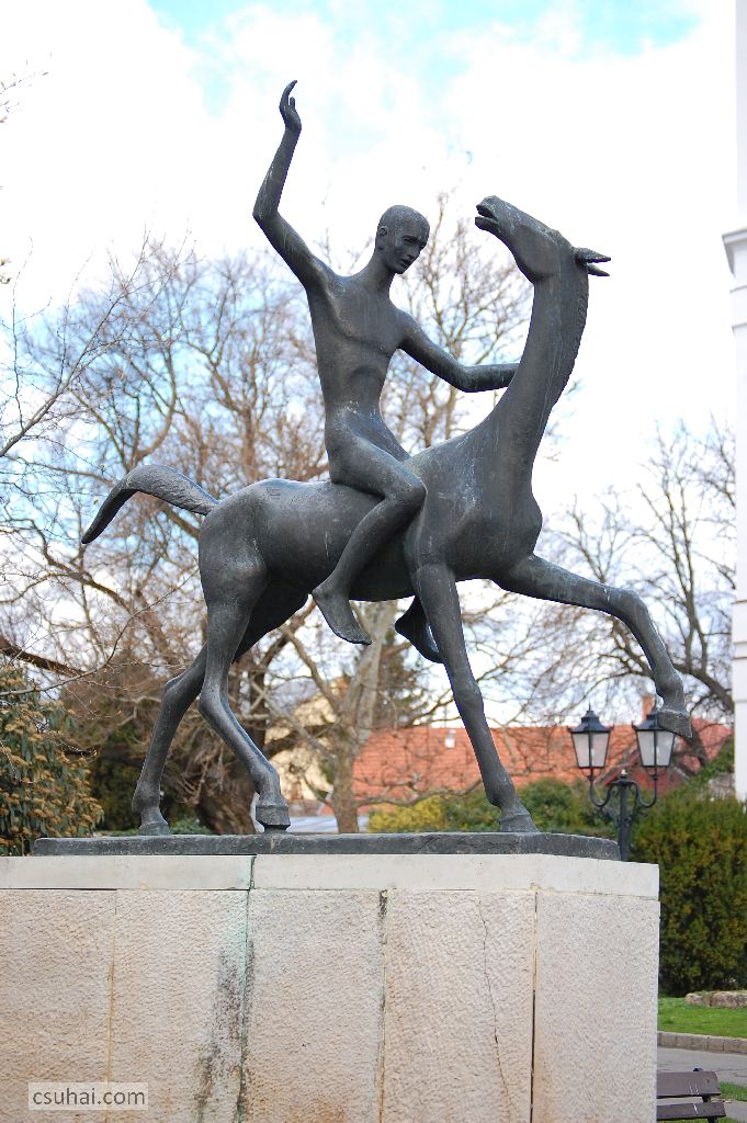 DSC_70192015-04-03_10-10-29