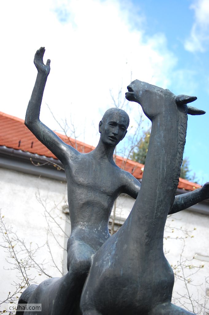 DSC_70282015-04-03_10-11-24