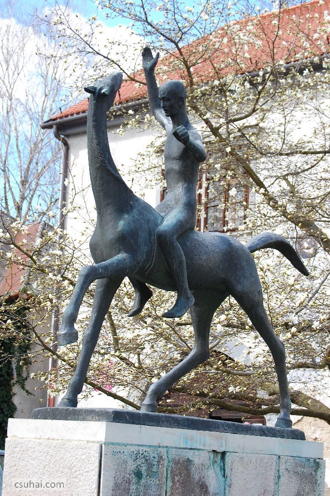 DSC_70312015-04-03_10-11-42