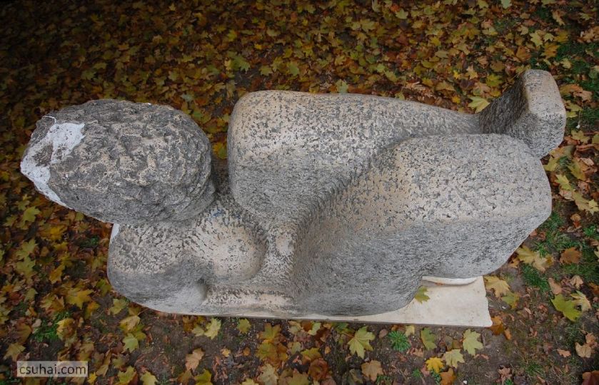 DSC_08532011-10-30_15-01-54