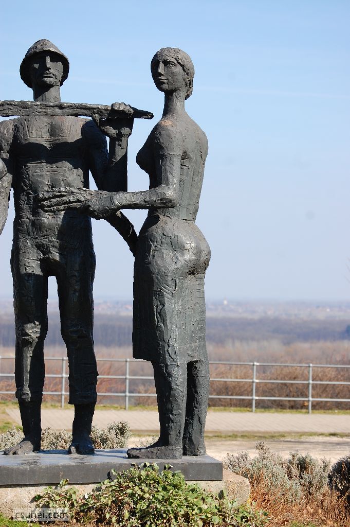 DSC_61002015-03-08_13-03-26