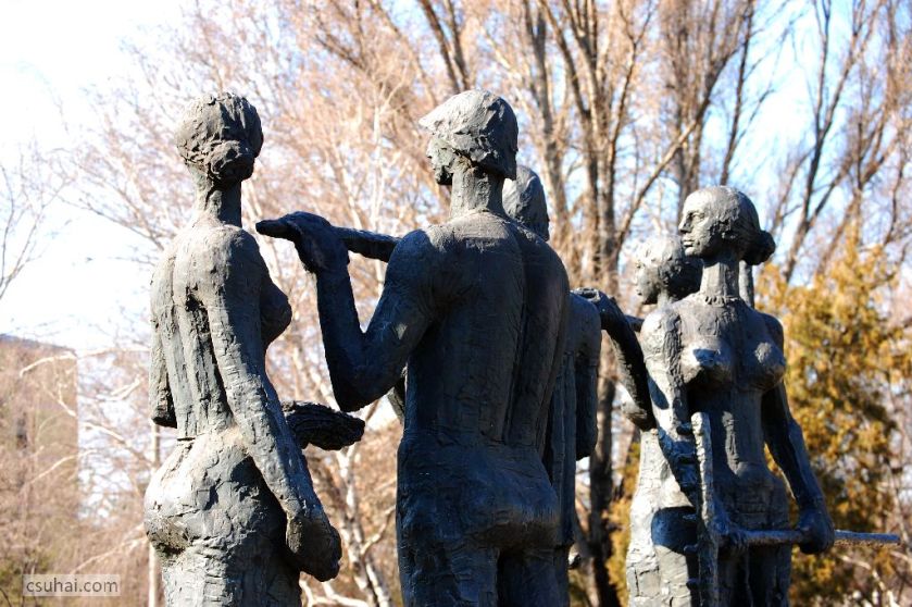 DSC_61112015-03-08_13-04-25