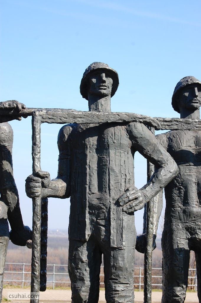 DSC_61262015-03-08_13-05-43