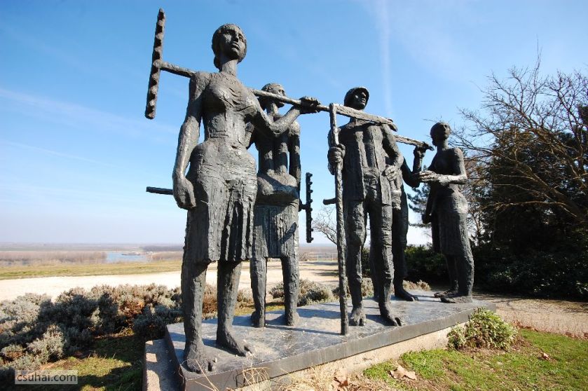 DSC_61362015-03-08_13-07-00