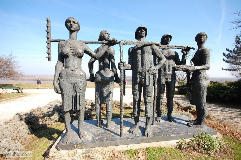 DSC_61372015-03-08_13-07-04