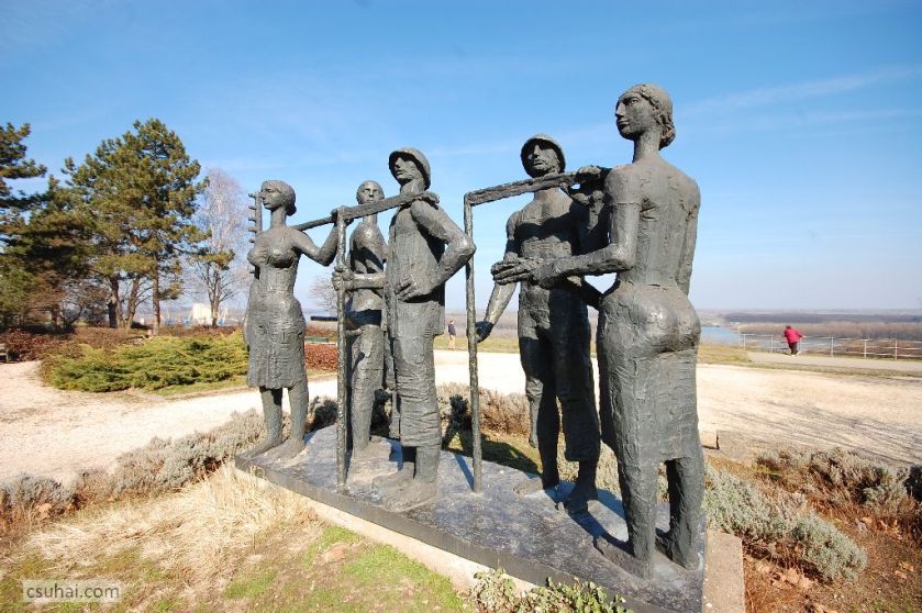 DSC_61412015-03-08_13-07-22