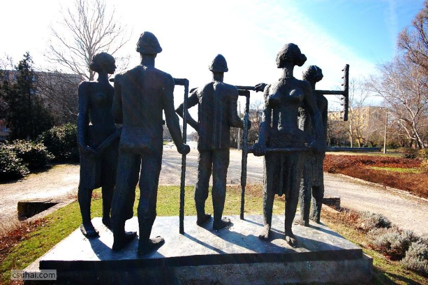 DSC_61462015-03-08_13-07-53