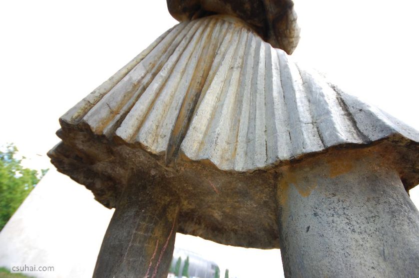 DSC_99662015-07-01_14-00-06