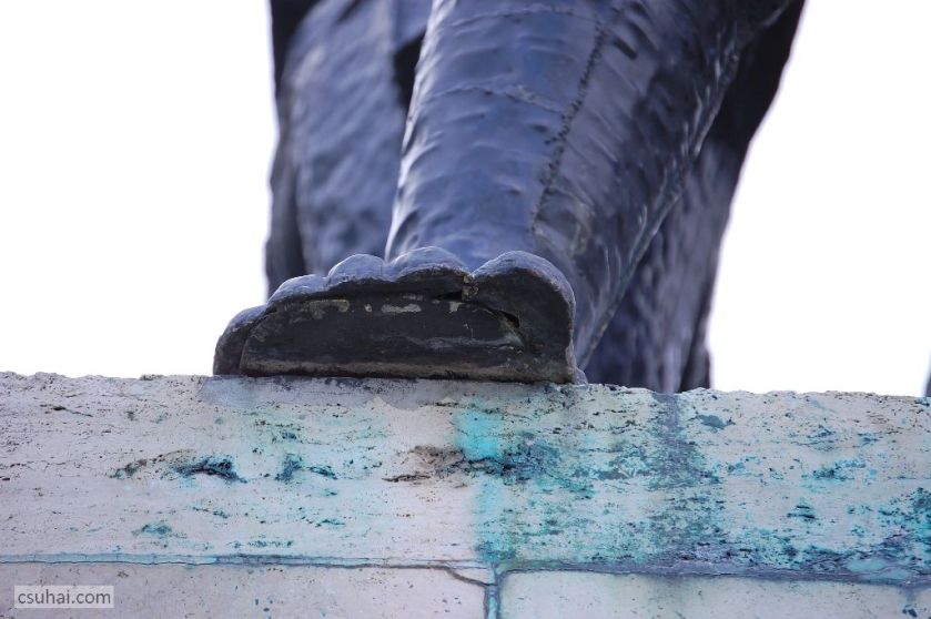 DSC_03372015-07-09_09-10-02