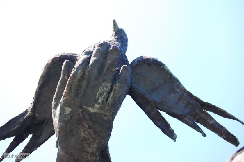 DSC_06772015-07-14_16-20-55