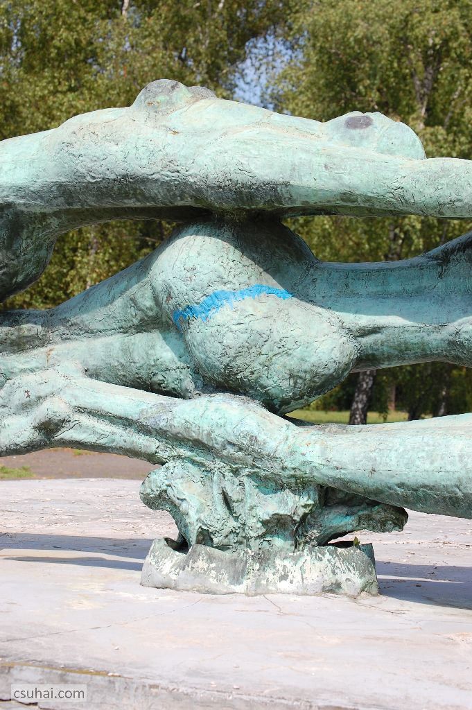 DSC_22432015-08-09_13-45-04