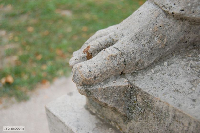 DSC_23122015-08-15_17-11-00