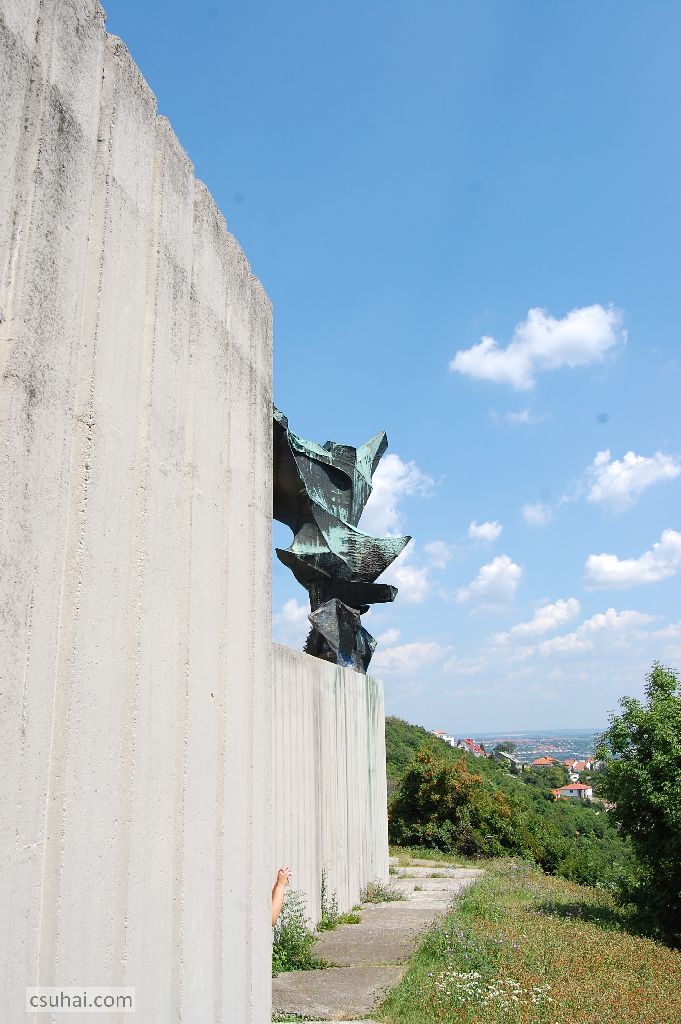 DSC_62442011-07-07_14-57-08