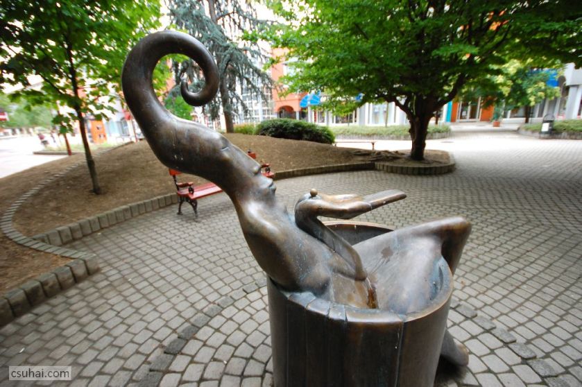 DSC_14102015-07-30_12-14-55