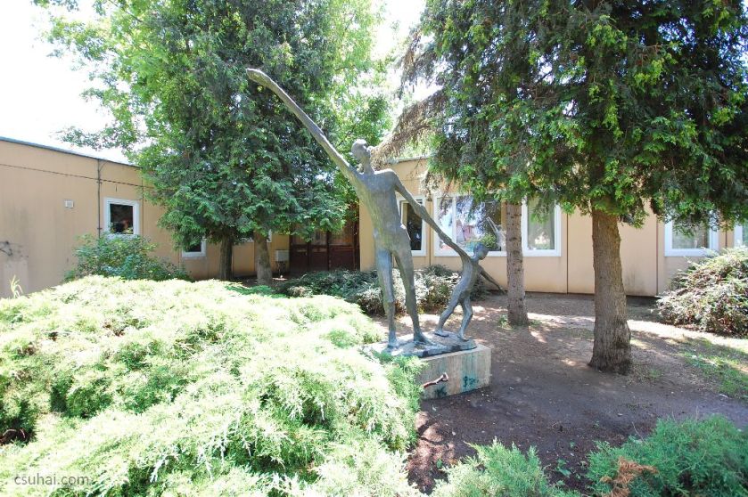 DSC_29402014-06-11_13-01-00