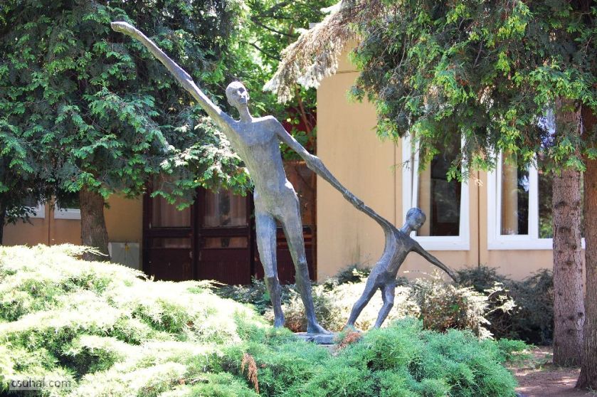 DSC_29422014-06-11_13-11-51