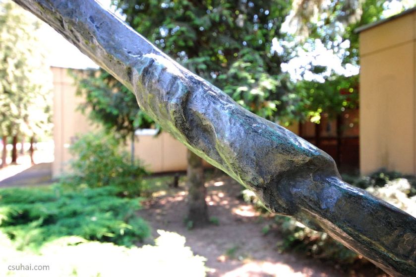 DSC_29572014-06-11_13-03-04