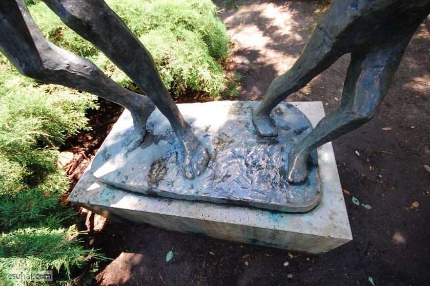 DSC_29602014-06-11_13-03-49