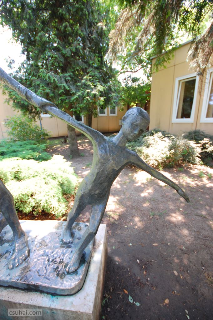 DSC_29622014-06-11_13-03-58