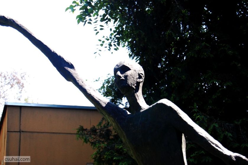 DSC_29712014-06-11_13-06-01