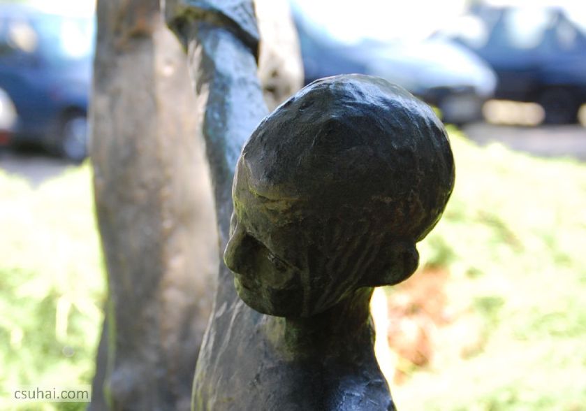 DSC_29912014-06-11_13-09-06