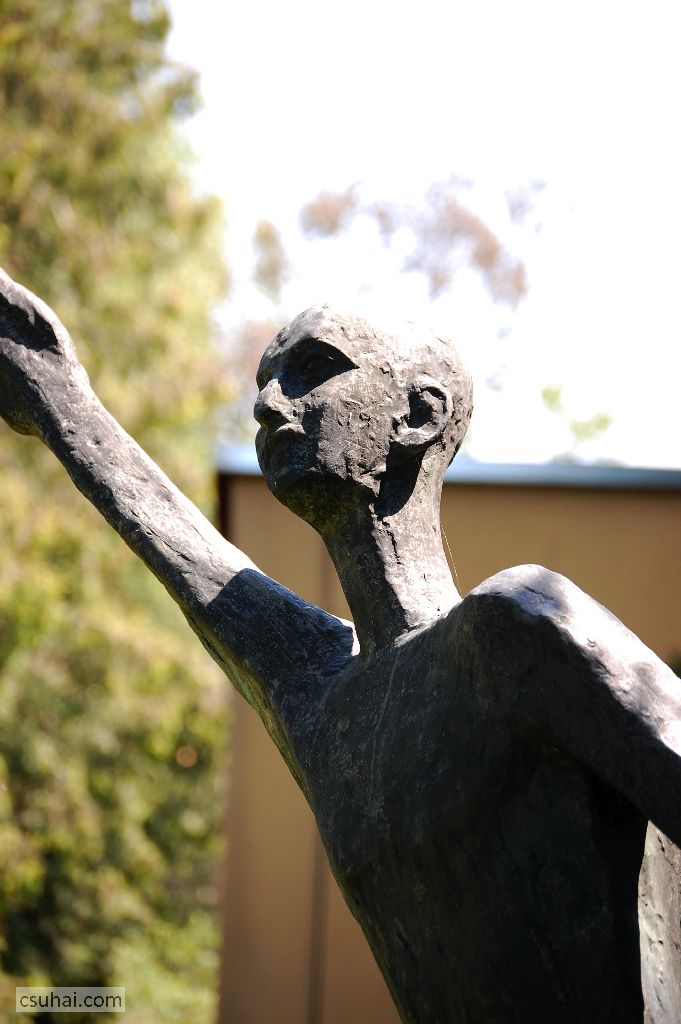 DSC_29932014-06-11_13-09-33