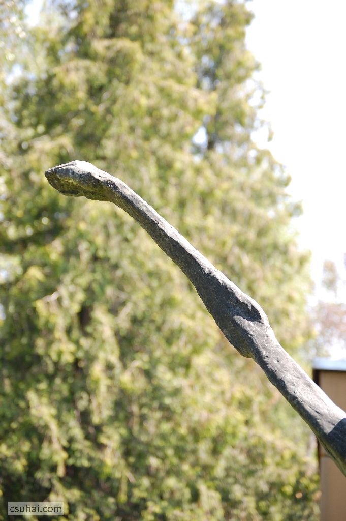 DSC_29942014-06-11_13-09-40