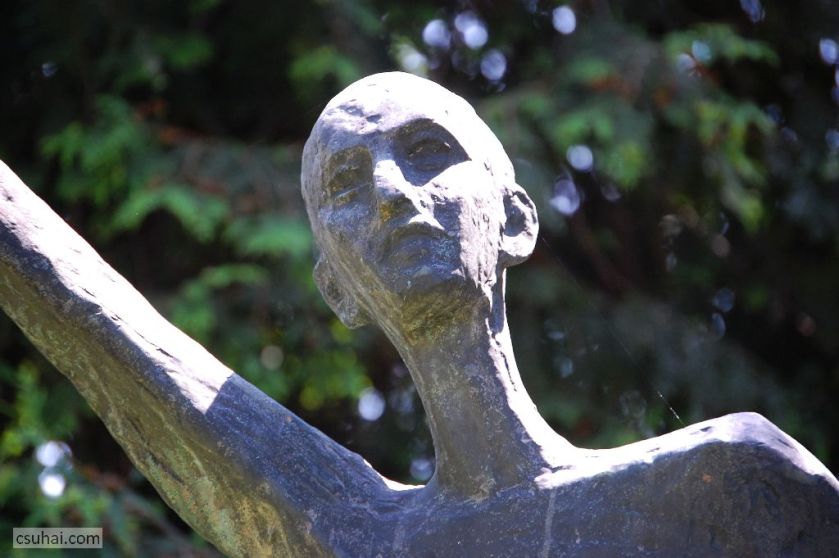 DSC_30042014-06-11_13-10-55