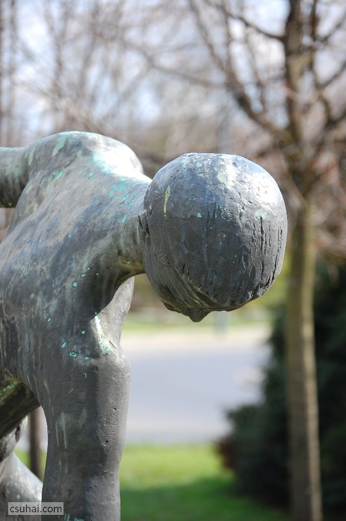 DSC_78122015-04-05_14-27-28