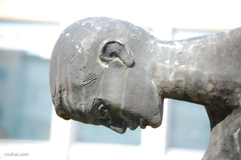 DSC_78602015-04-05_14-30-31