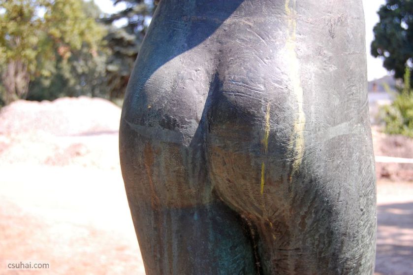 DSC_16962015-08-06_11-42-21