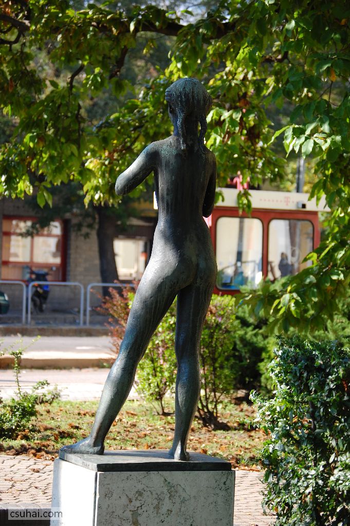 DSC_56992015-10-22_12-53-44