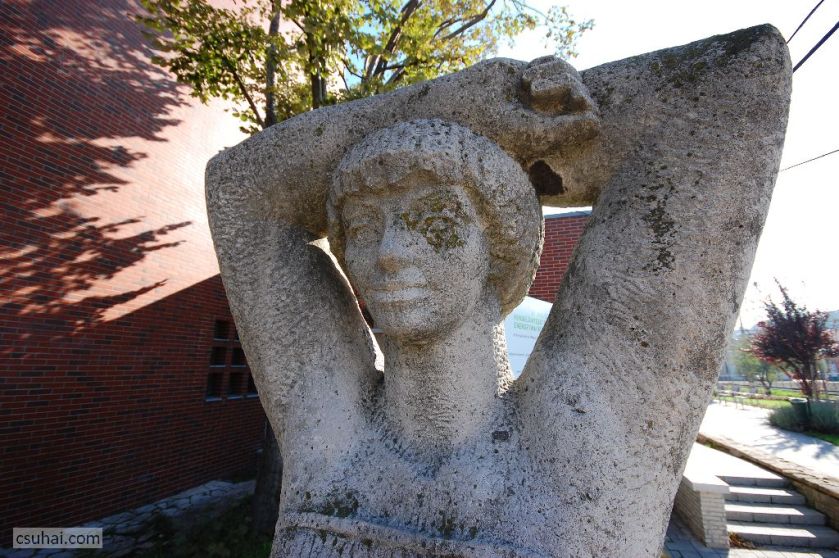 DSC_56702015-10-22_12-45-45