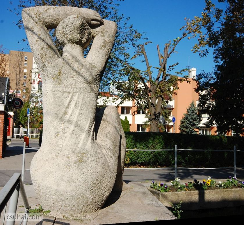 DSC_56732015-10-22_12-46-08