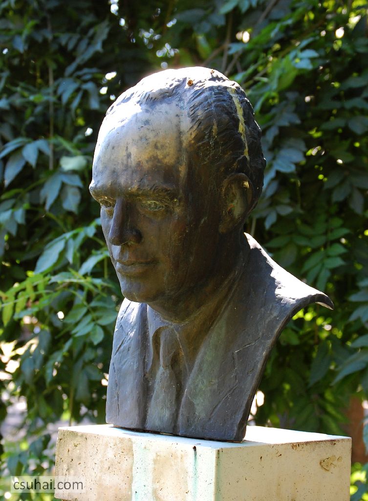 DSC_92152014-08-09_10-13-46