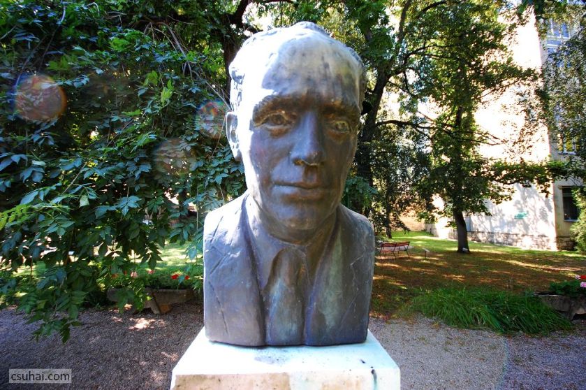 DSC_92522014-08-09_10-18-54