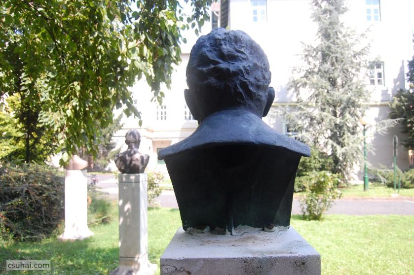 DSC_94092014-08-10_11-34-40