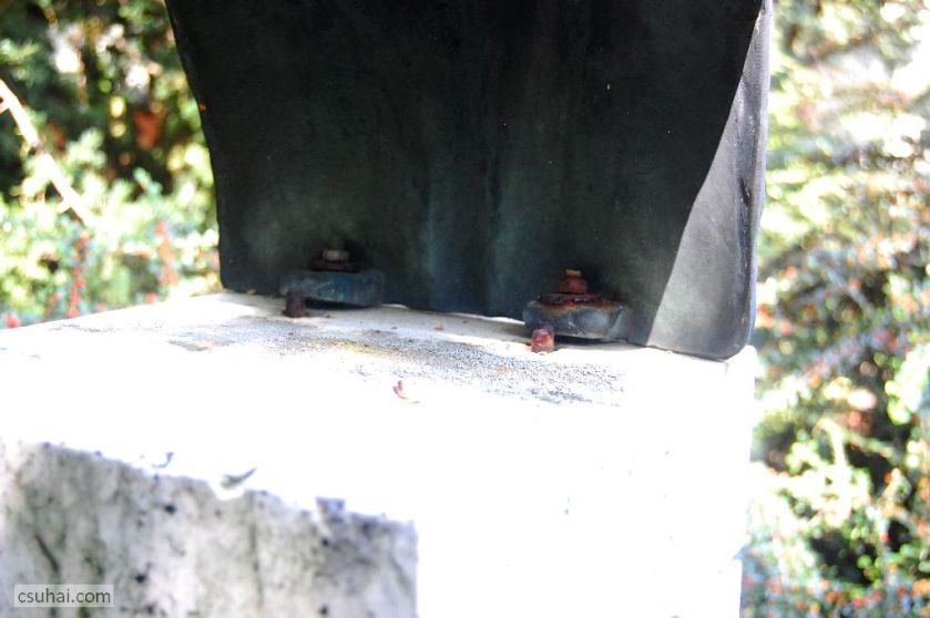 DSC_94362014-08-10_11-40-08