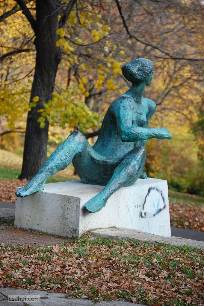 03_DSC_60982015-11-11_13-01-43