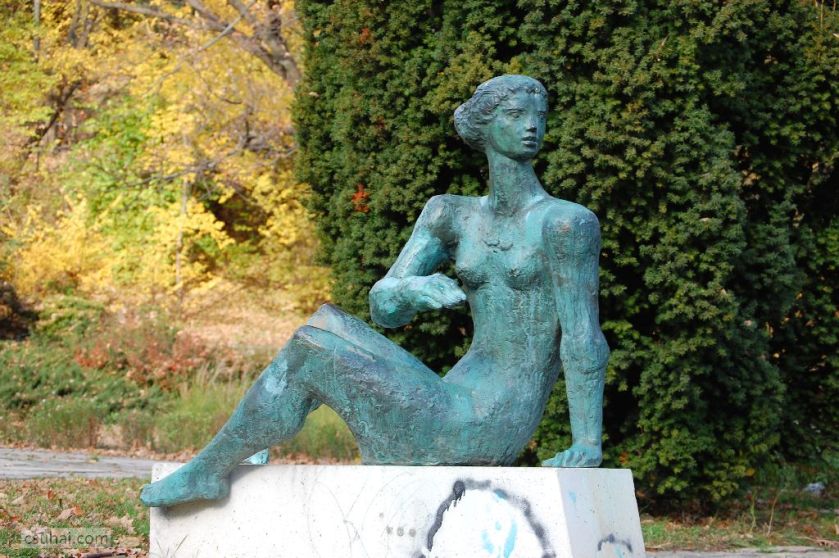 17_DSC_61502015-11-11_13-05-29