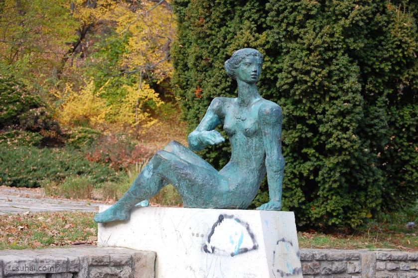 18_DSC_61572015-11-11_13-06-45