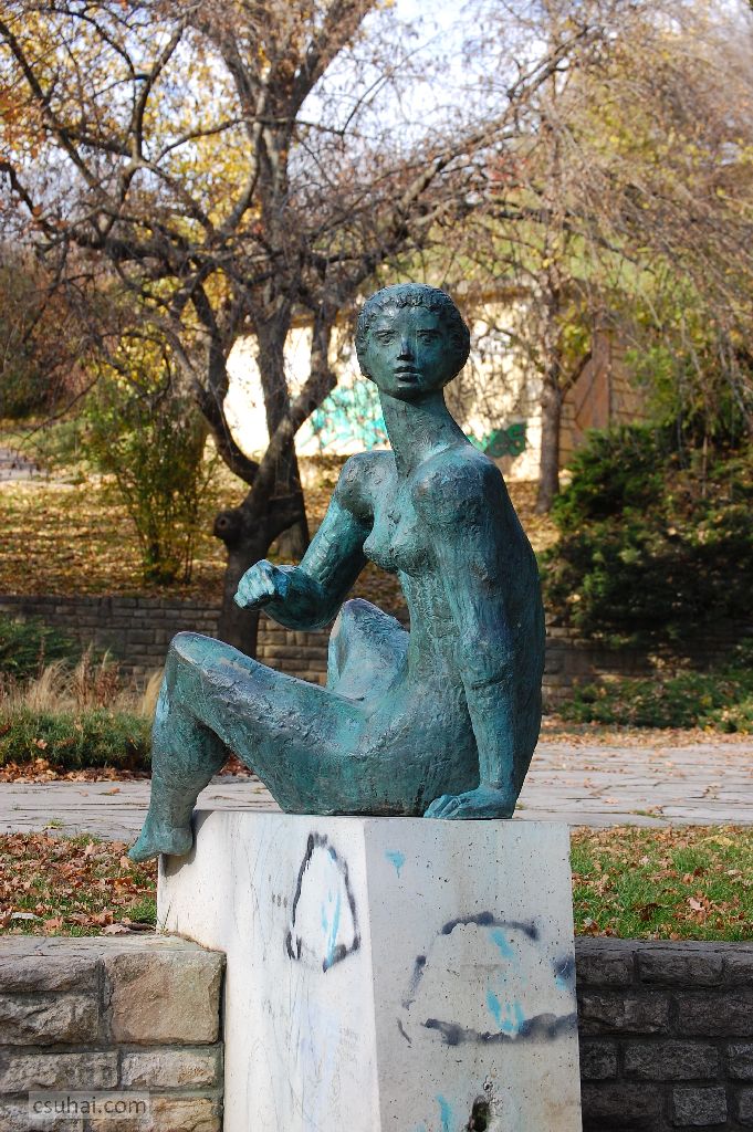 28_DSC_61232015-11-11_13-03-20