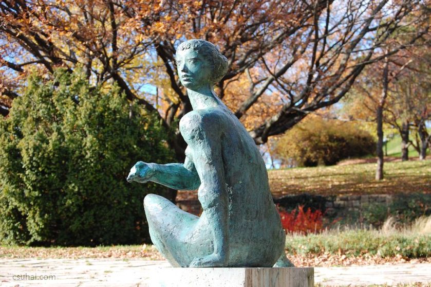 31_DSC_61282015-11-11_13-03-38