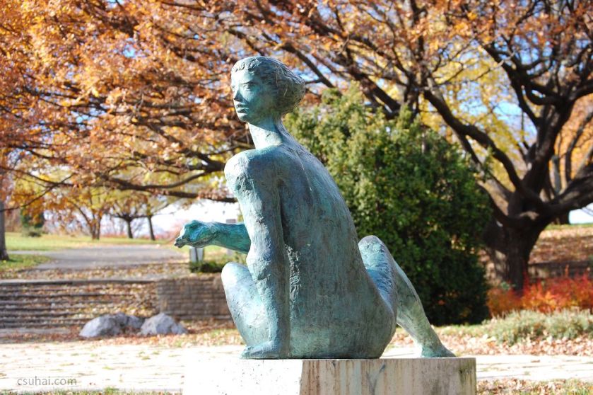 32_DSC_61292015-11-11_13-03-42