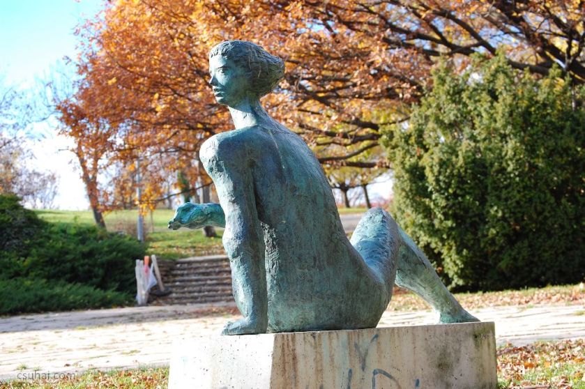 34_DSC_61312015-11-11_13-03-45