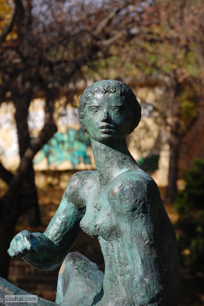 43_DSC_61262015-11-11_13-03-27