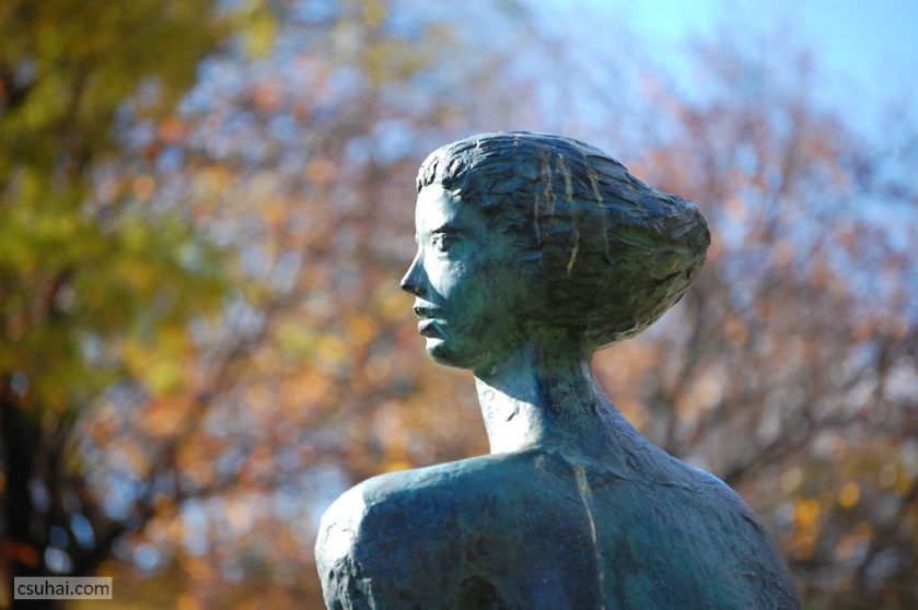 45_DSC_61372015-11-11_13-04-17