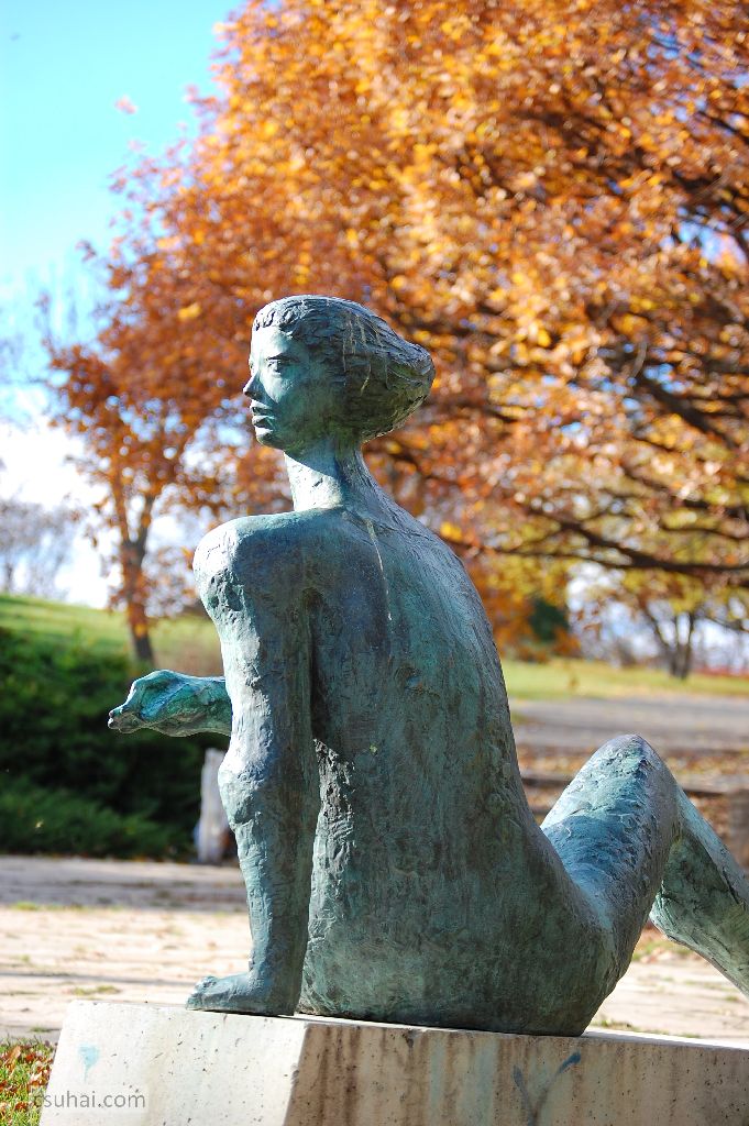 46_DSC_61382015-11-11_13-04-23