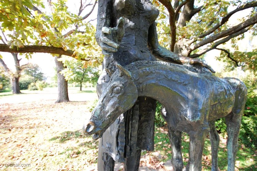 DSC_19422014-10-11_12-55-28