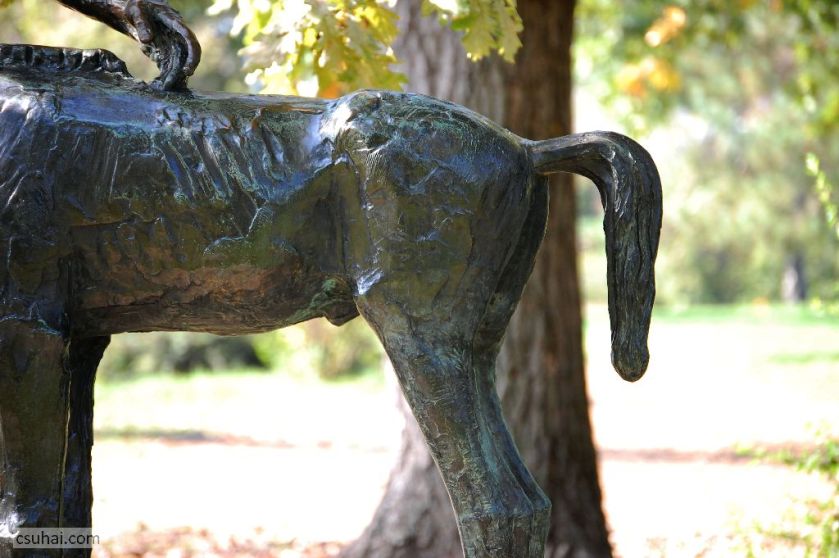 DSC_19602014-10-11_12-58-09